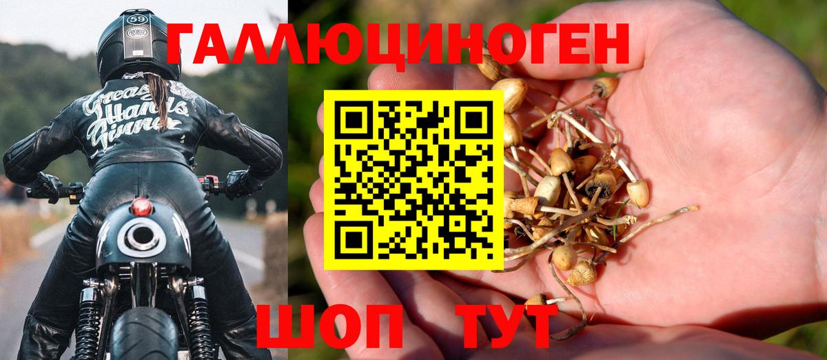 Зеленокумск  Псилоцибиновые грибы GOLDEN TEACHER  Вход с VPN 