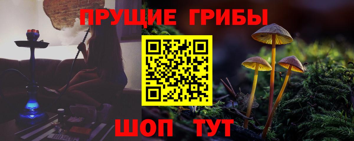 Галлюциногенные грибы Psilocybe Зеленокумск