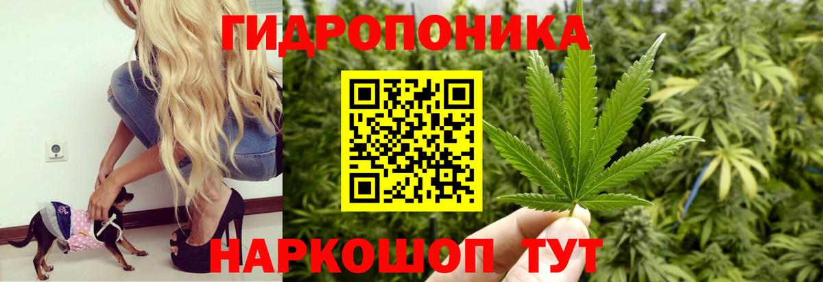 Бошки Шишки Amnesia Зеленокумск